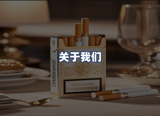 关于我们